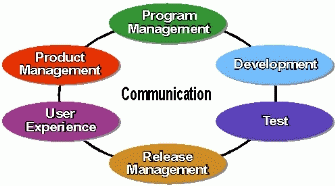 Figure 2: MSF Team Model