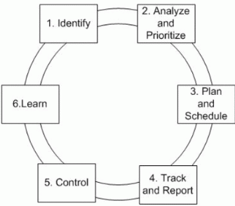 Figure 1: MSF Risk Management Process